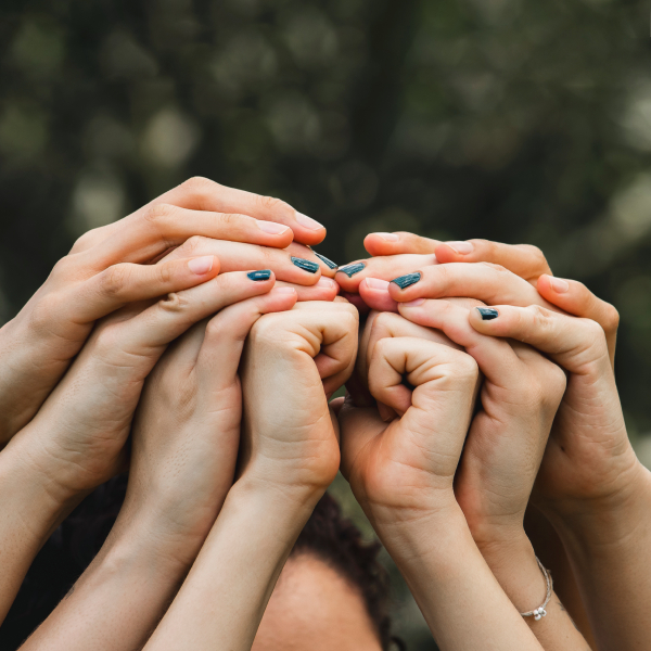 ok manos que envuelven el corazón 2156. foto por mónica ledezma m
