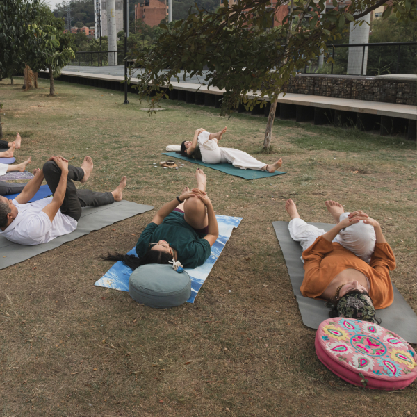 ok2 mlm3907. fotografia monica ledezma morales