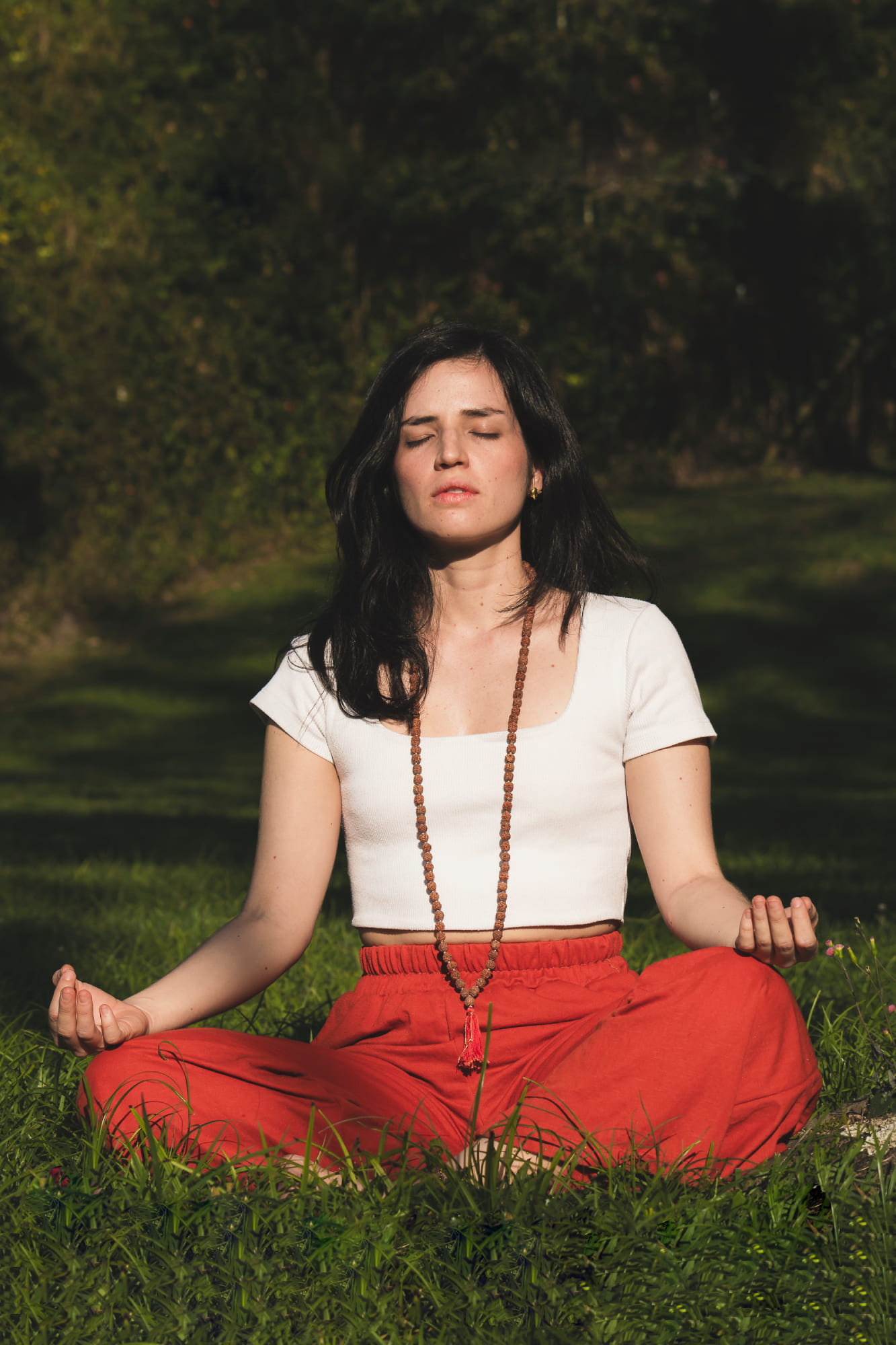 okaura meditando 2382. foto por mónica ledezma m (2)