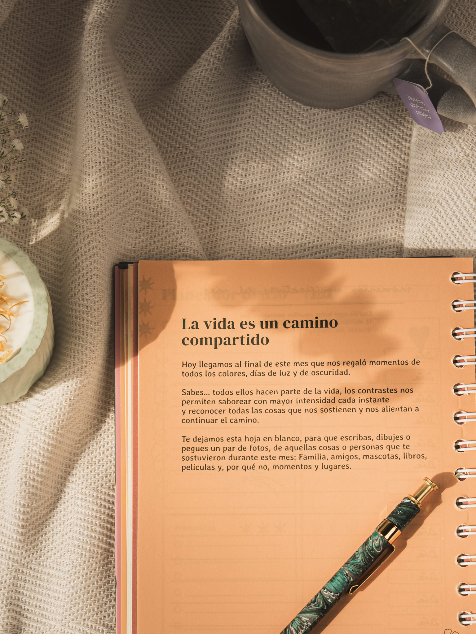 _1731. Foto por Monica Ledezma