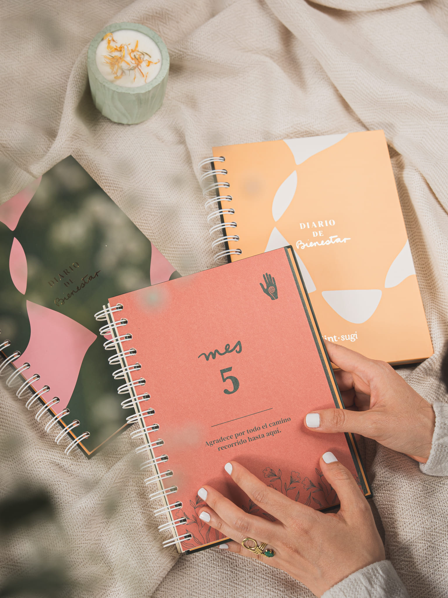 _1755. Foto por Monica Ledezma