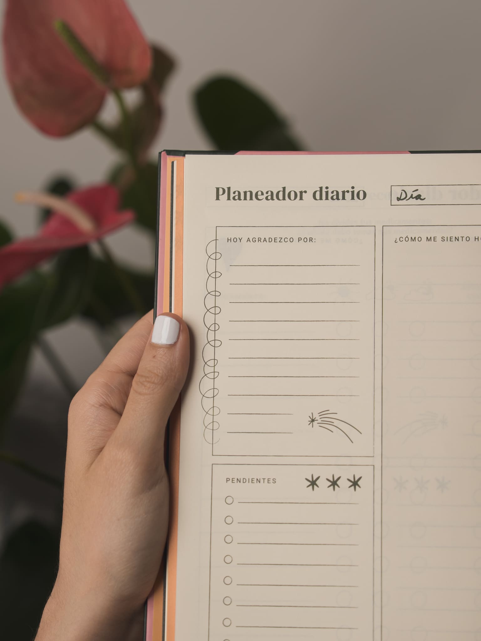 Detalle planeador_1485. Foto por Monica Ledezma