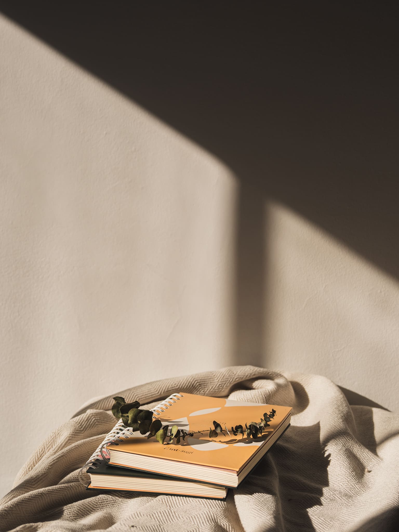 _MLM1907. Foto por Monica Ledezma