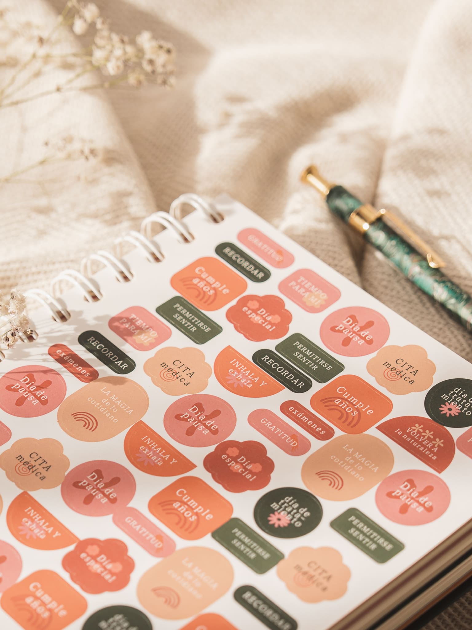 _MLM1925. Foto por Monica Ledezma