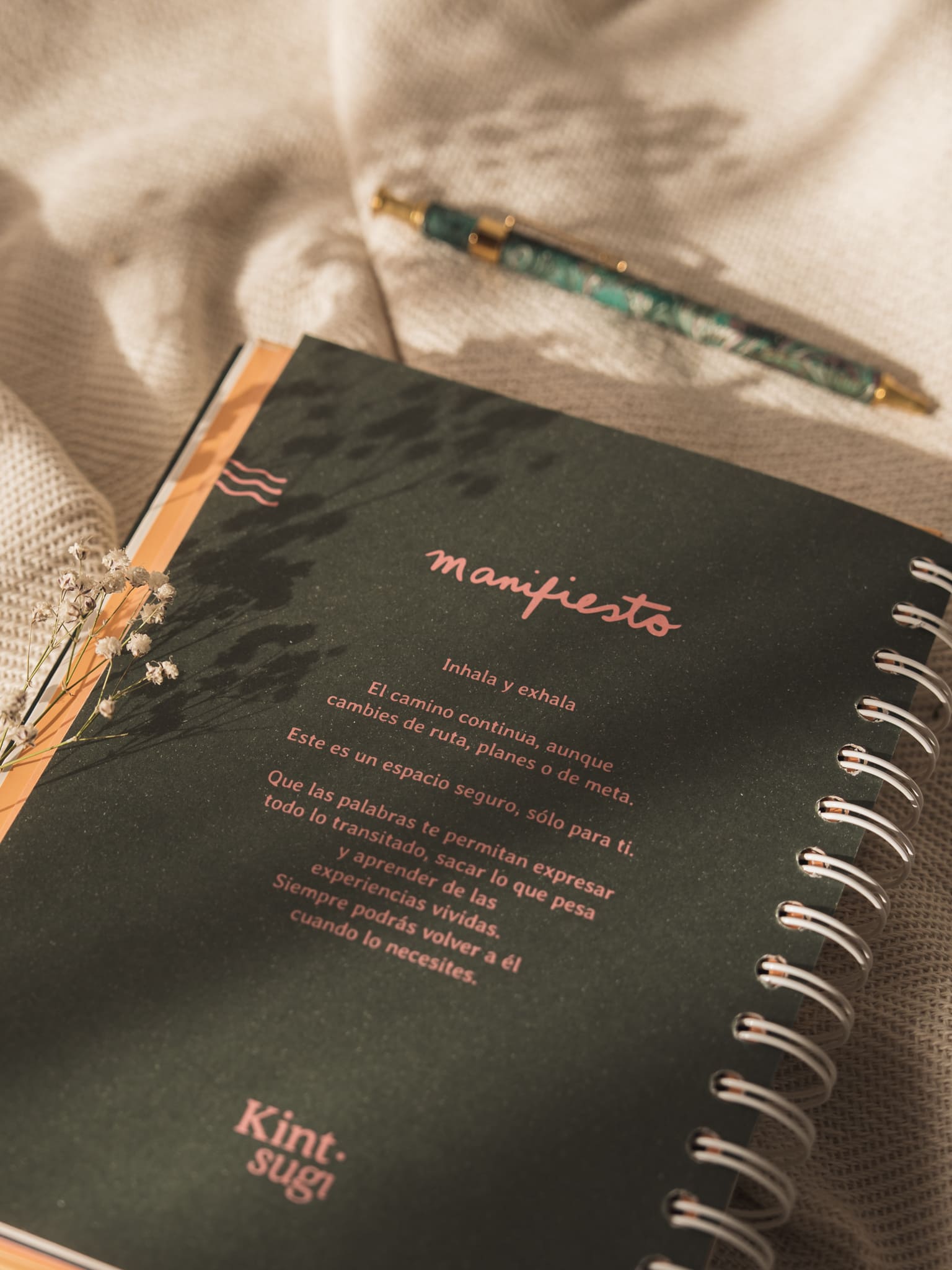 _MLM1931. Foto por Monica Ledezma