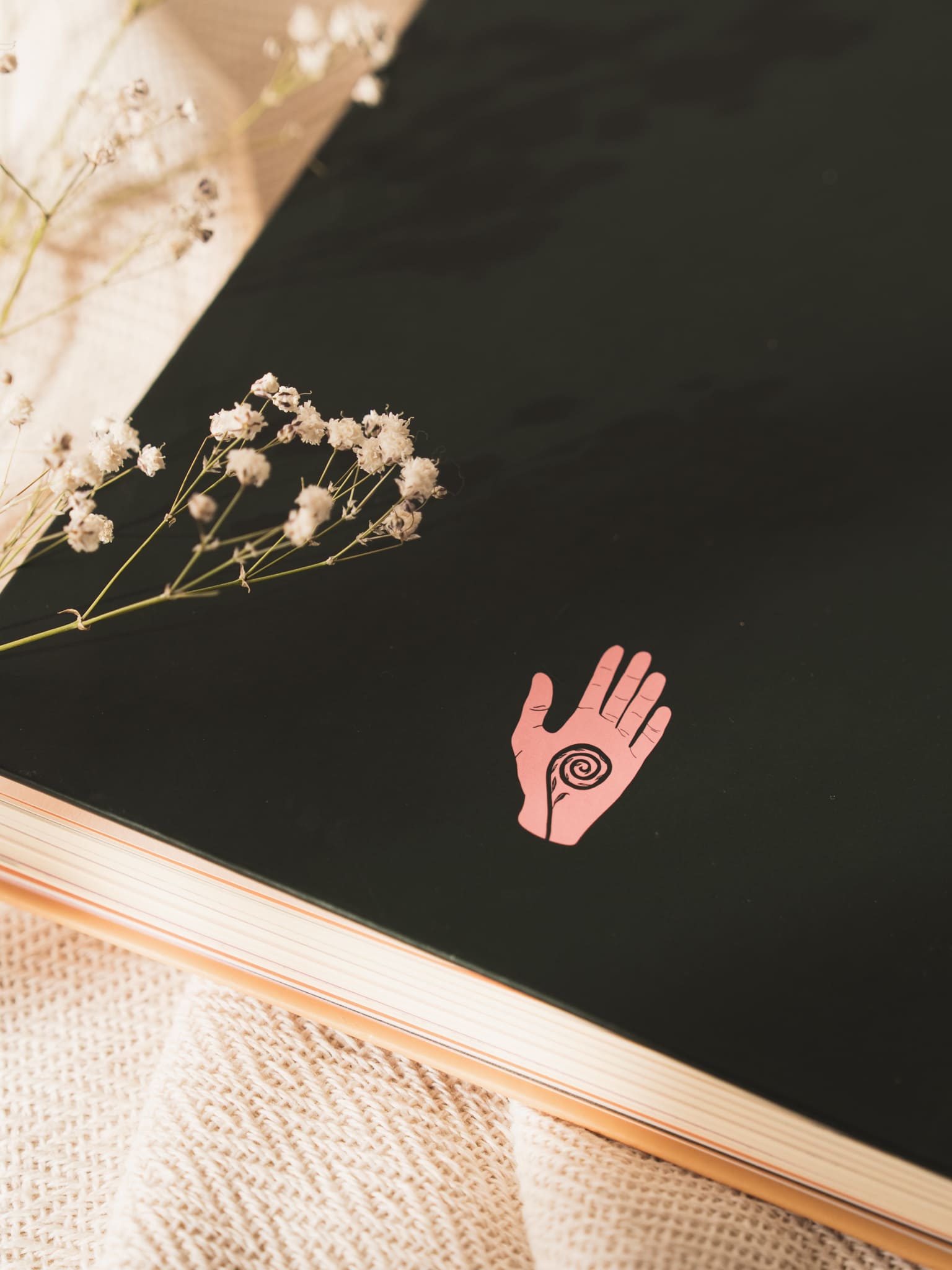 _MLM1933. Foto por Monica Ledezma