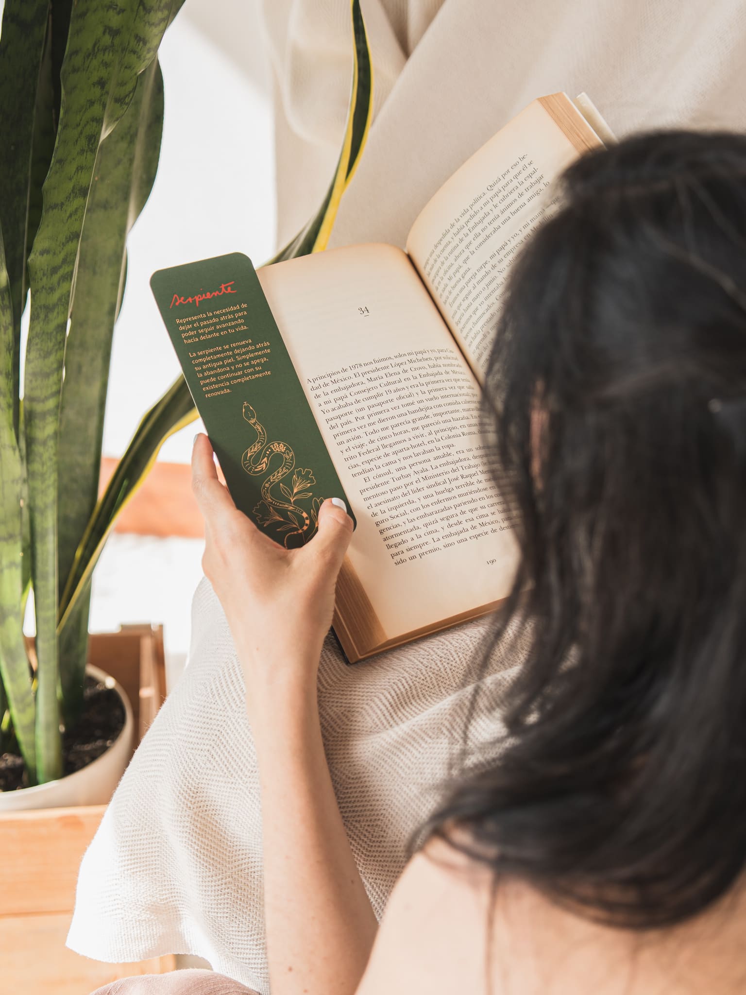 Separador serpiente modo lectura_1650. Foto por Monica Ledezma