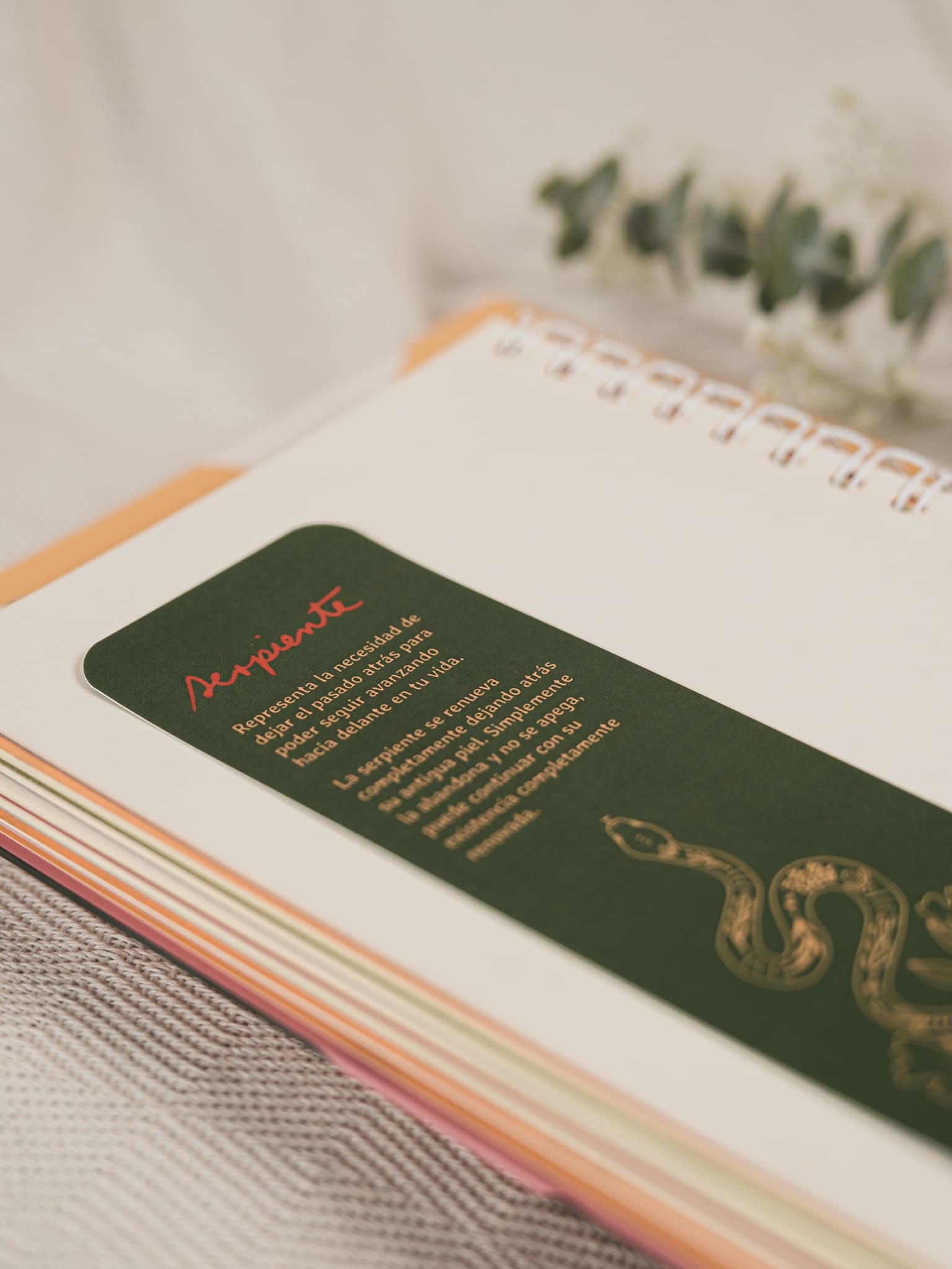 Separador serpiente_1612. Foto por Monica Ledezma